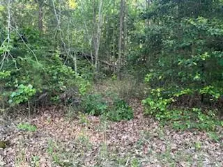 125 Mockingbird Lane, Hollister, NC 27844 - #3