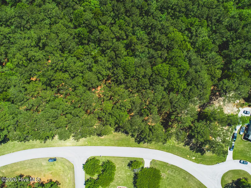 321 Wild Swan Lane, Minnesott Beach, NC 28510 - #1