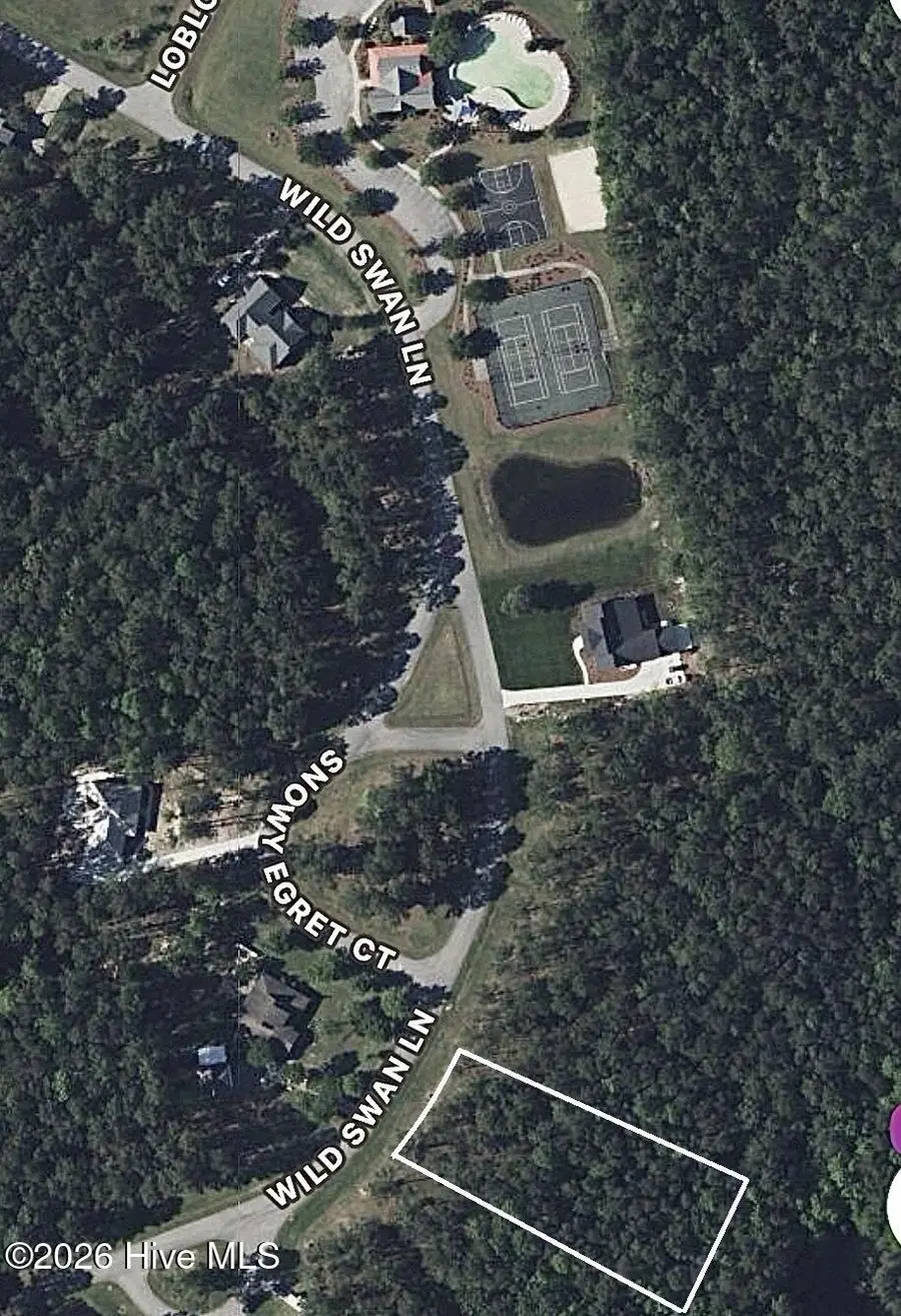 321 Wild Swan Lane, Minnesott Beach, NC 28510 - #2
