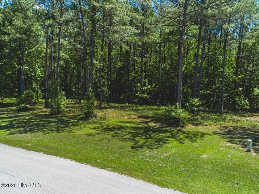 321 Wild Swan Lane, Minnesott Beach, NC 28510 - #3