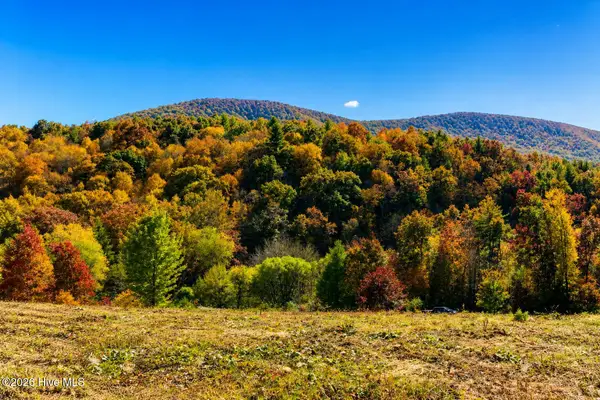 488 Dewitt Road, Glade Valley, NC 28627