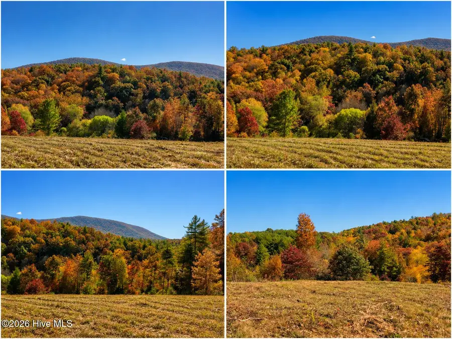 488 Dewitt Road, Glade Valley, NC 28627 - #2