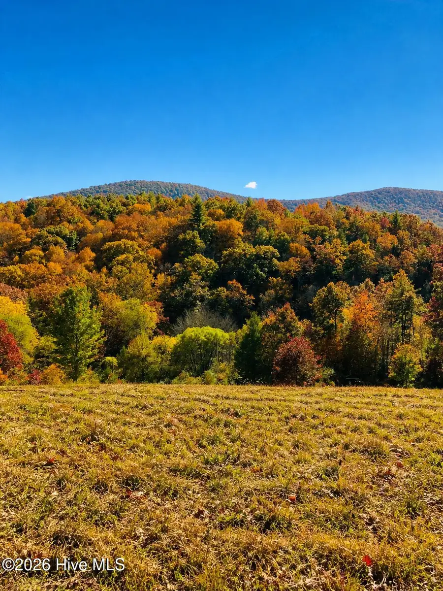 488 Dewitt Road, Glade Valley, NC 28627 - #3