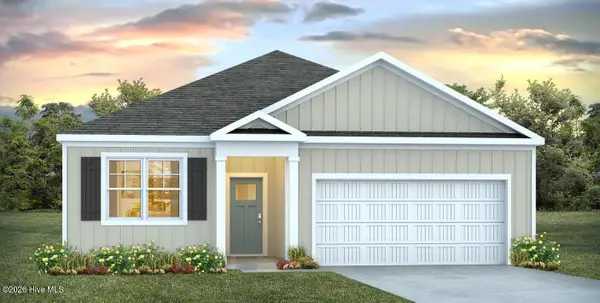 1033 Pampas Grass Drive #Lot 317, Castle Hayne, NC 28429