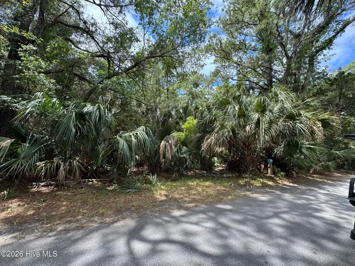 8 Dowitcher Trail, Bald Head Island, NC 28461 - #1