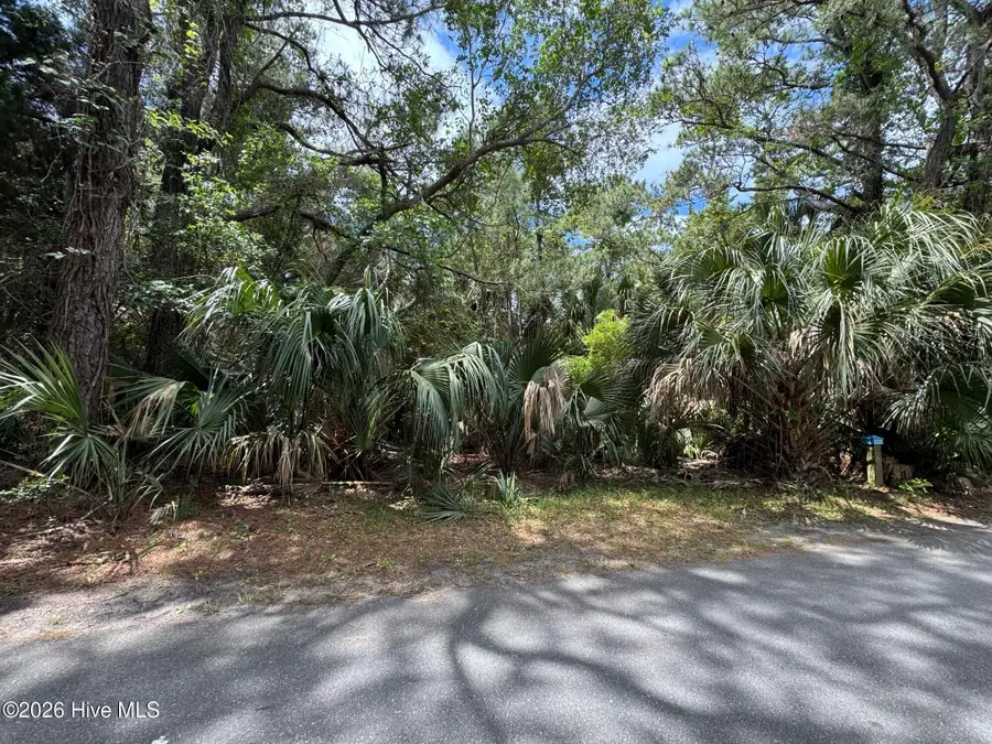 8 Dowitcher Trail, Bald Head Island, NC 28461 - #2