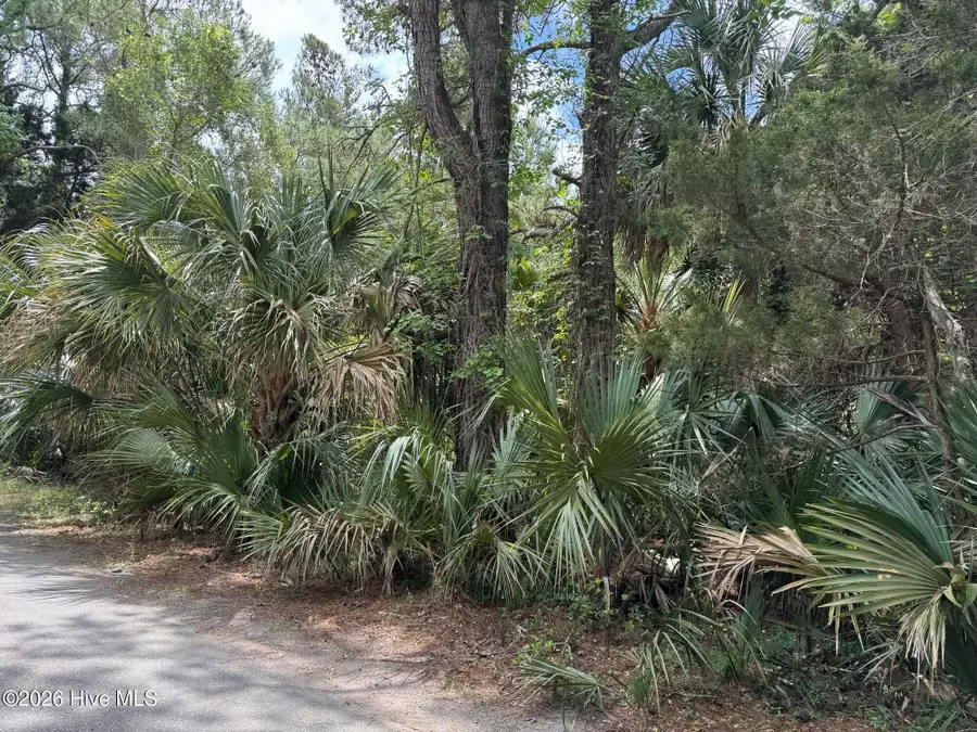8 Dowitcher Trail, Bald Head Island, NC 28461 - #3