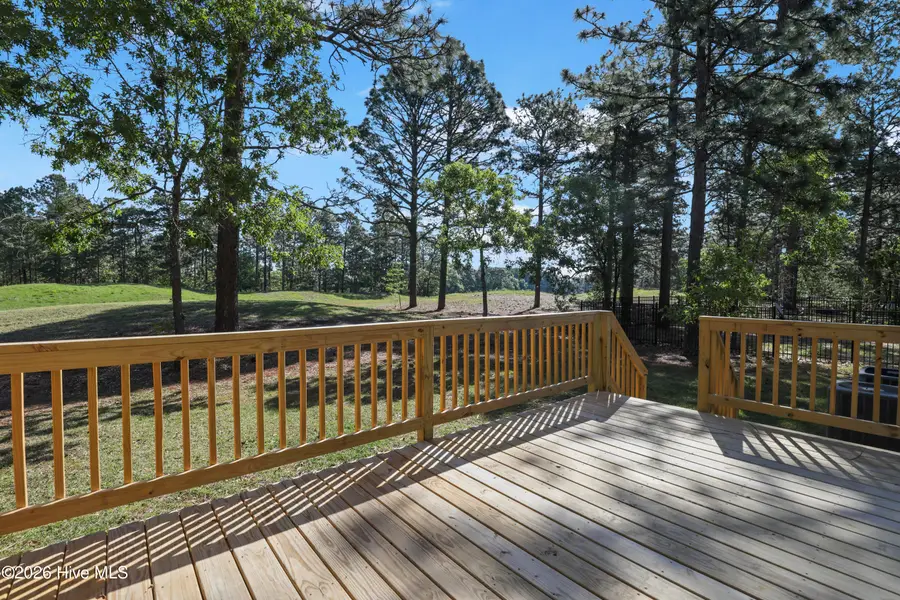 716 Bald Eagle Drive, Vass, NC 28394 - #3