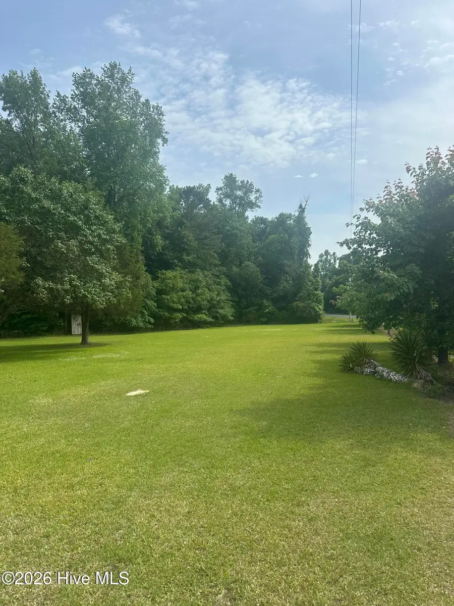 999 Mears Road, Clarkton, NC 28433 - #3