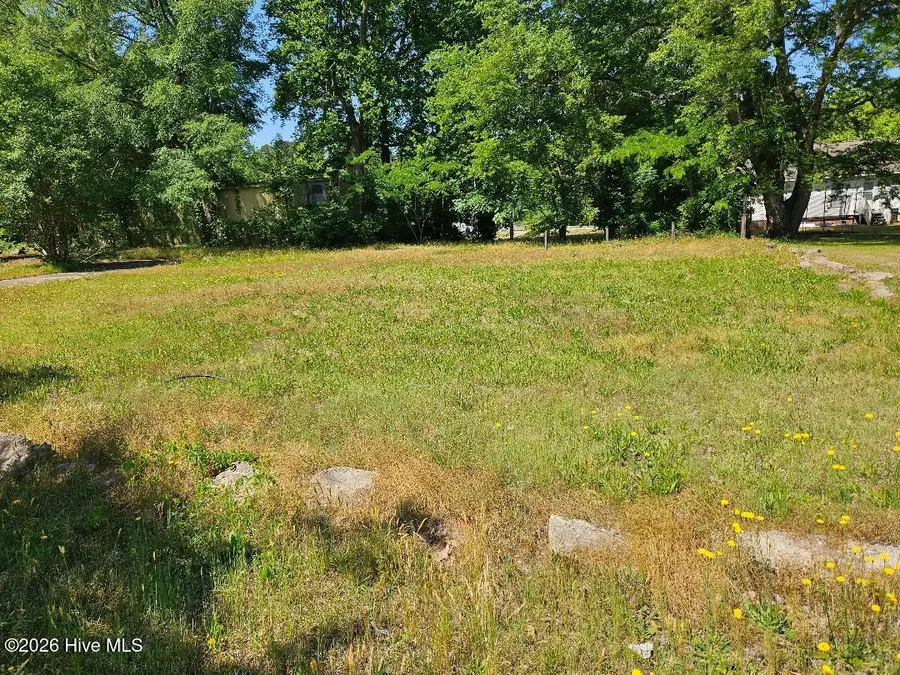 308 Howard Street, Princeville, NC 27886 - #3