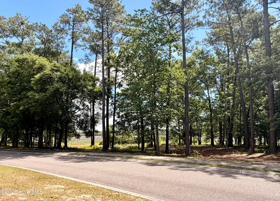 2054 Arnold Palmer Drive, Shallotte, NC 28470 - #3