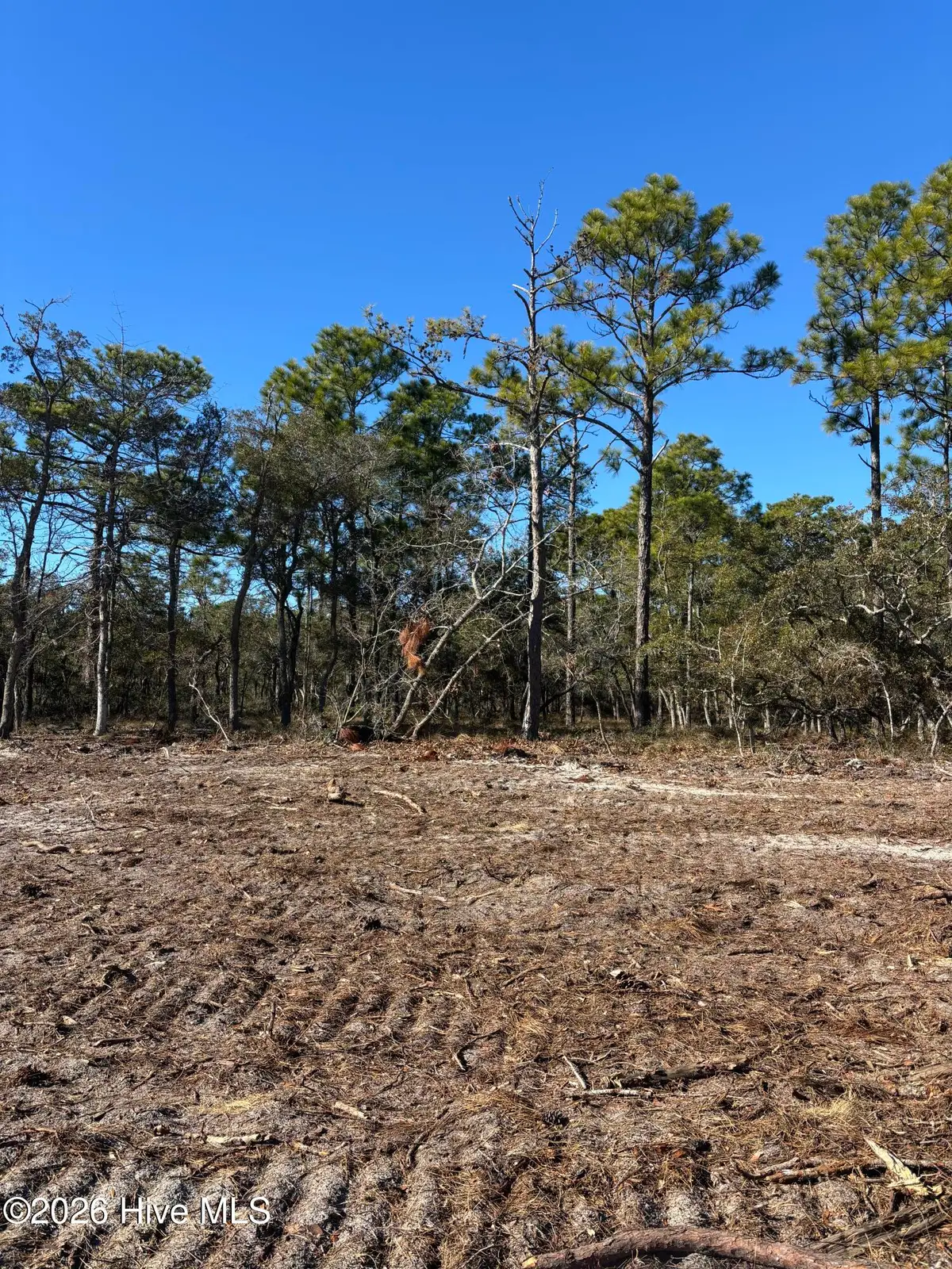 Lot 132 Coral Gull Street, Southport, NC 28461 - #1