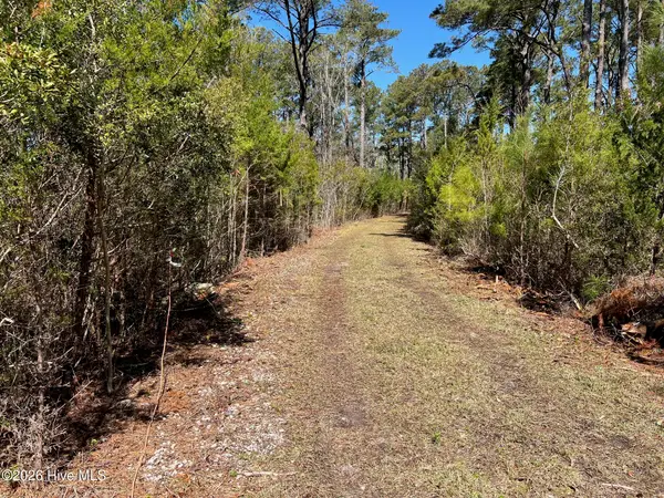 150 Styron Creek Road, Sea Level, NC 28577