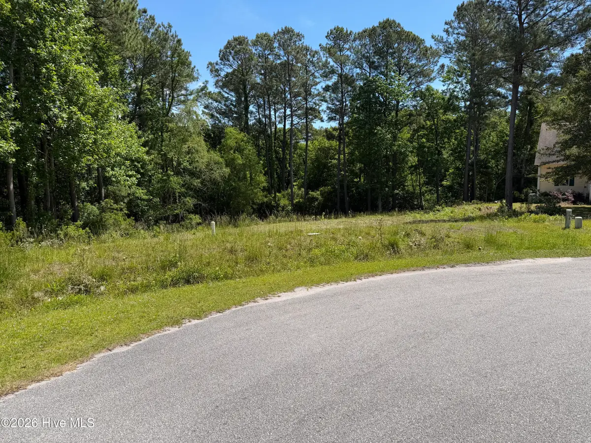 125 River Reach West Drive W, Swansboro, NC 28584 - #1