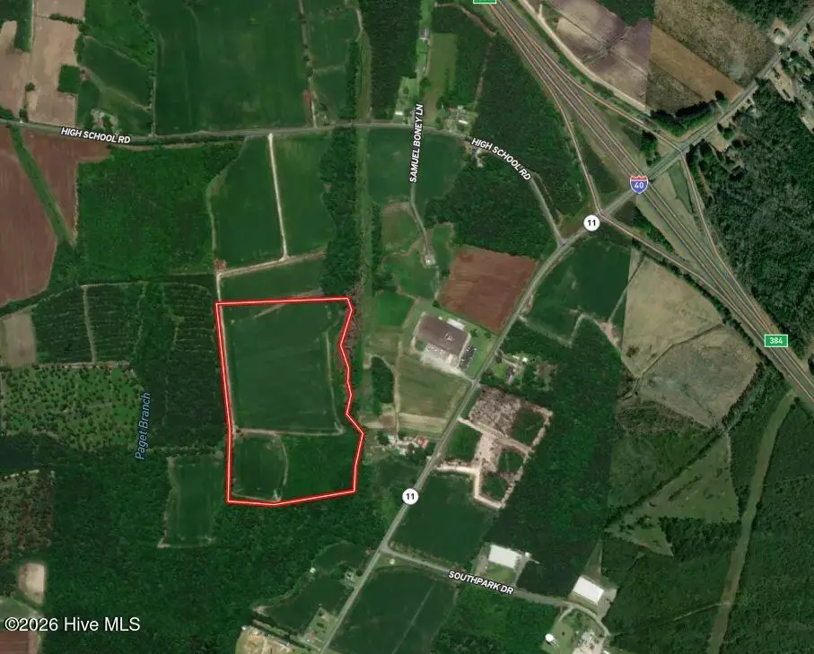 34.4 Acres High School Road, Teachey, NC 28464 - #1