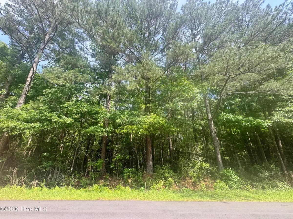 0 Oak Hills Drive, Rocky Point, NC 28457 - #1