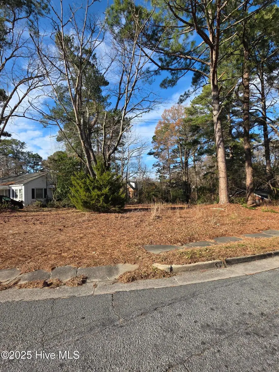 404 Summit Avenue, Kinston, NC 28501 - #3