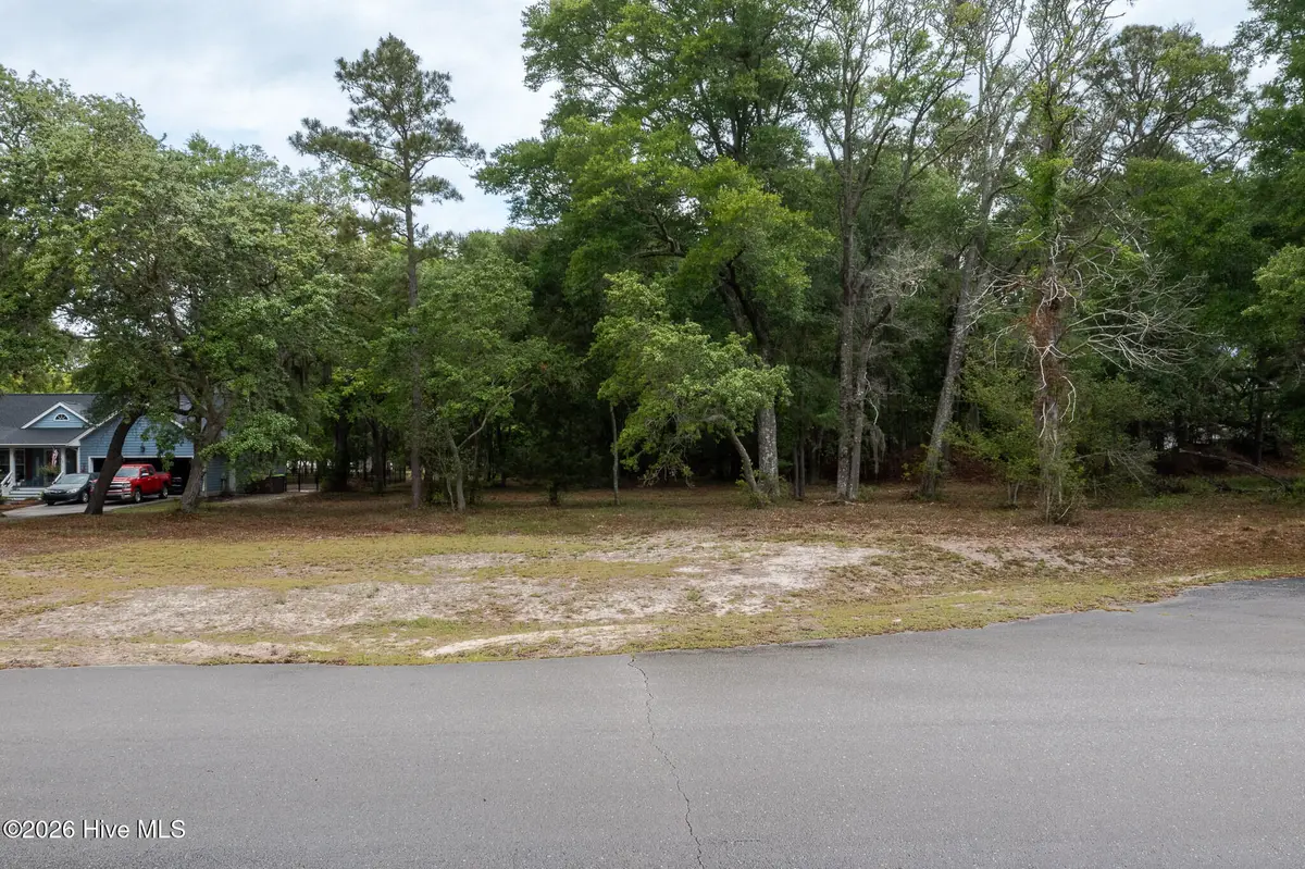 3331 Stone Crab Court Sw, Supply, NC 28462 - #1