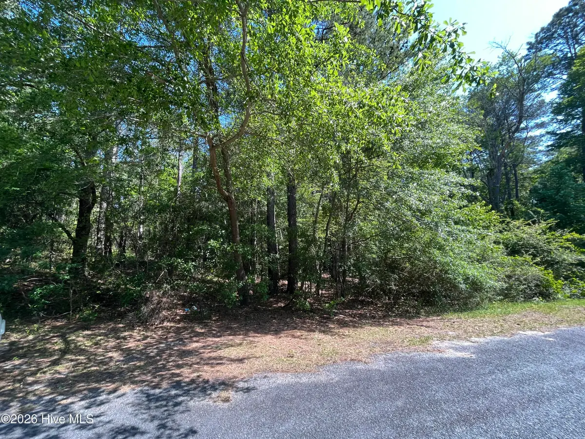 304 Eastman Road, Southern Pines, NC 28387 - #1