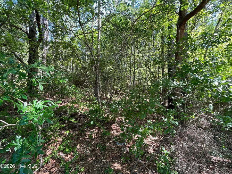 304 Eastman Road, Southern Pines, NC 28387 - #2