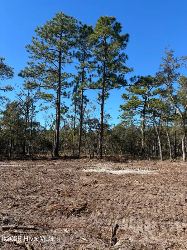 Lot 124 Coral Gull Street, Southport, NC 28461
