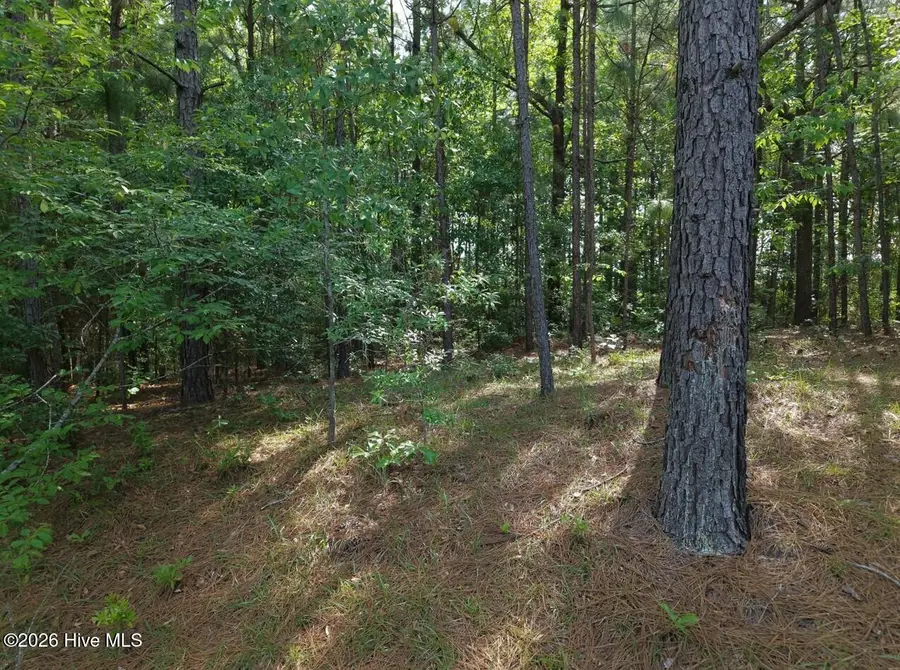 6311 Canadian Avenue, Hope Mills, NC 28348 - #3