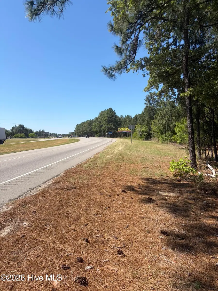 5324 Us 1 Highway, Vass, NC 28394 - #2