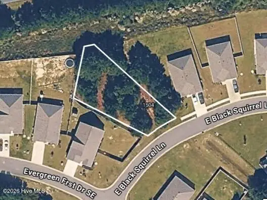 1504 E Black Squirrel Lane, Bolivia, NC 28422 - #1