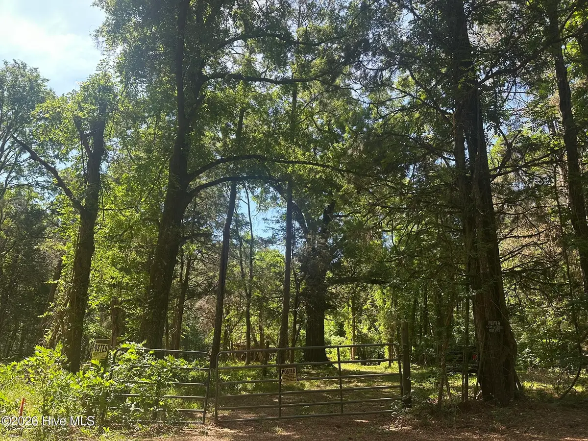 Lot 4 Saggus Road, Washington, GA 30673 - #1