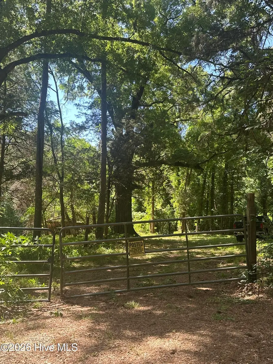 Lot 4 Saggus Road, Washington, GA 30673 - #2