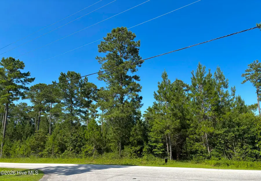00 Lee Rogers Road, Hubert, NC 28539 - #3