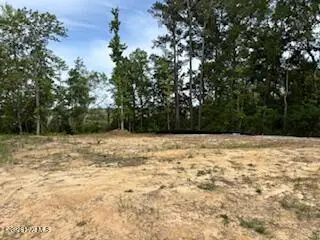 108 Brookhaven Trail, Leland, NC 28451 - #3