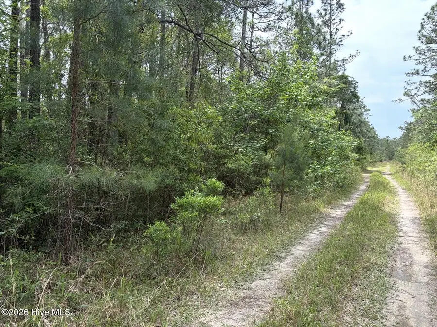 L 113 Chimney Swift Lane Se, Southport, NC 28461 - #3
