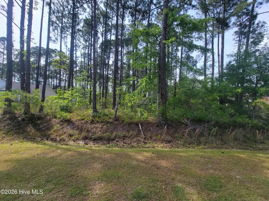 237 Berryknoll Drive Nw, Calabash, NC 28467 - #2