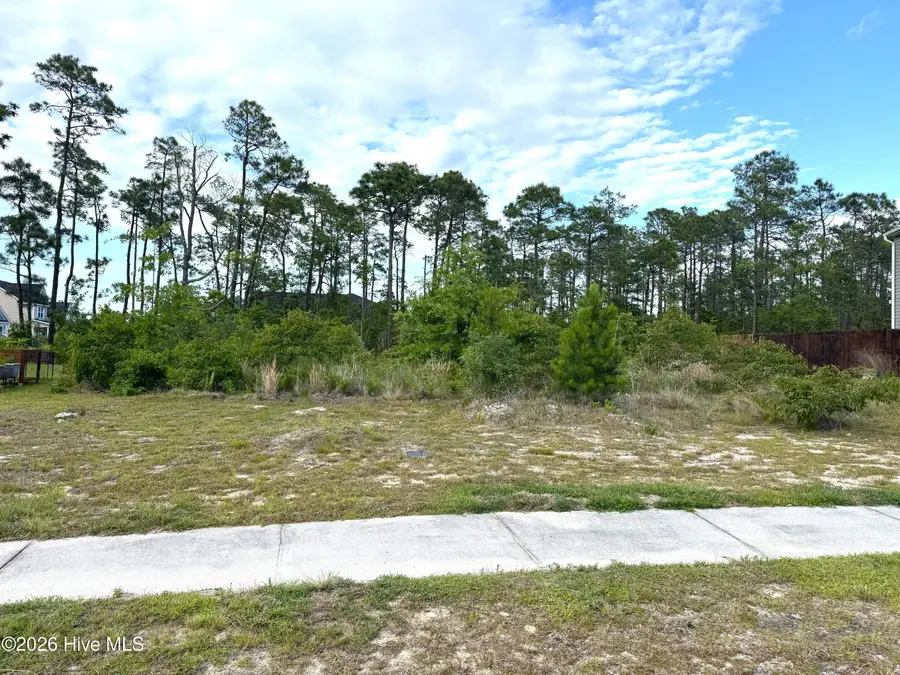 1732 E Coronado Avenue Se, Bolivia, NC 28422 - #2