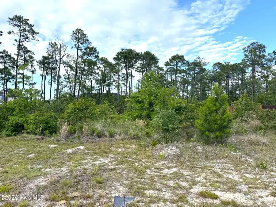 1732 E Coronado Avenue Se, Bolivia, NC 28422 - #3