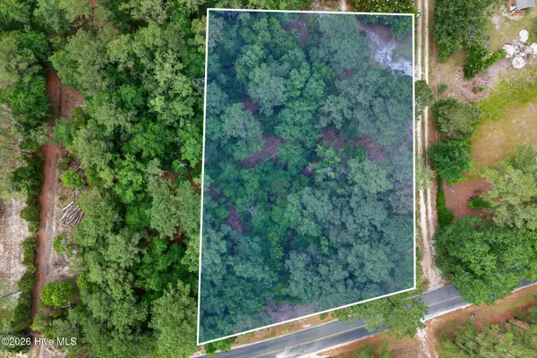 0000 Point Caswell Road, Atkinson, NC 28421