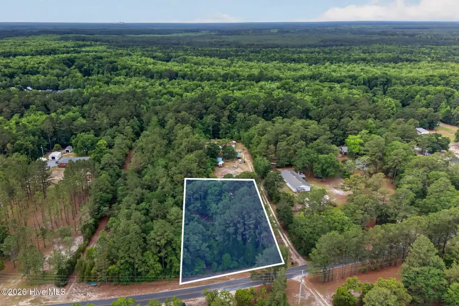 0000 Point Caswell Road, Atkinson, NC 28421 - #2