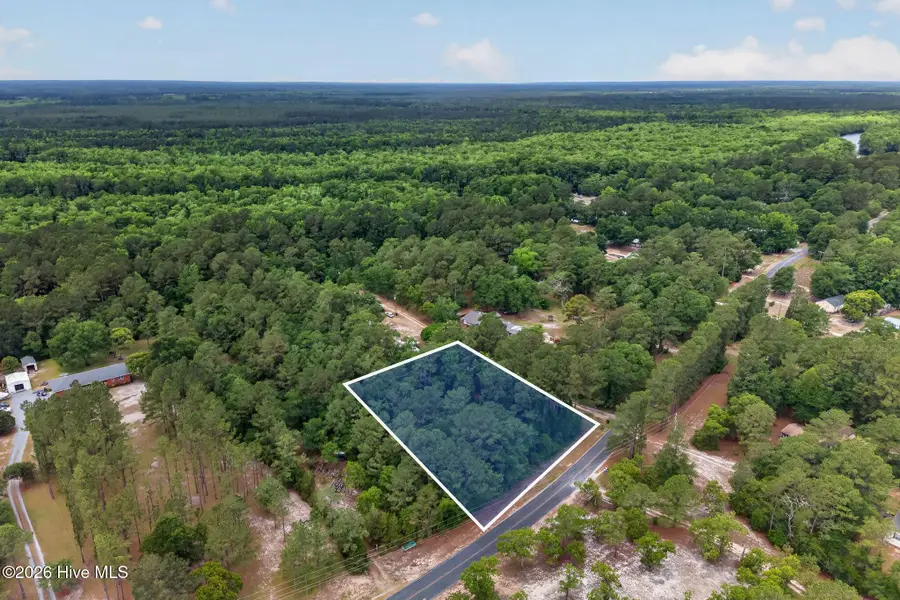 0000 Point Caswell Road, Atkinson, NC 28421 - #3