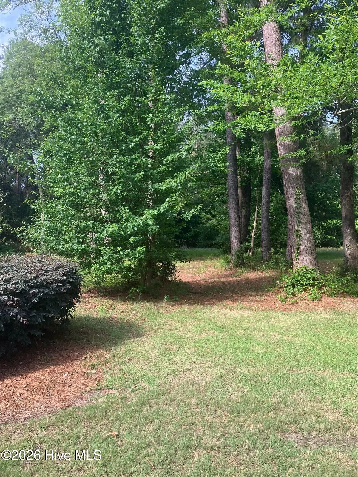 155 Southern Magnolia Lane, Wallace, NC 28466 - #1