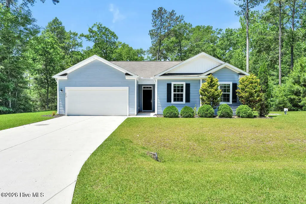 203 J Belton Court, Sneads Ferry, NC 28460 - #1
