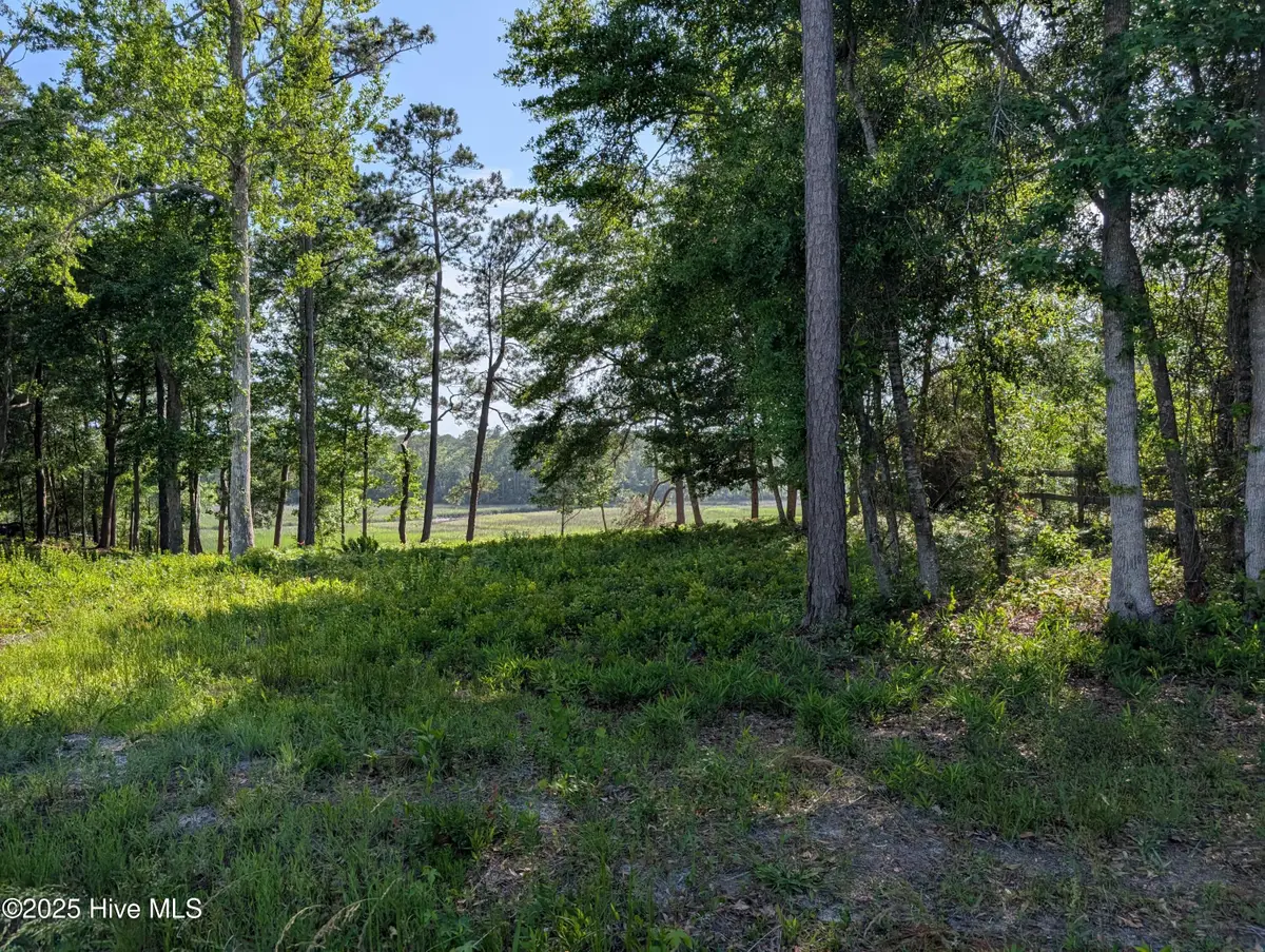 1709 Star Cross Drive Sw, Shallotte, NC 28470 - #1
