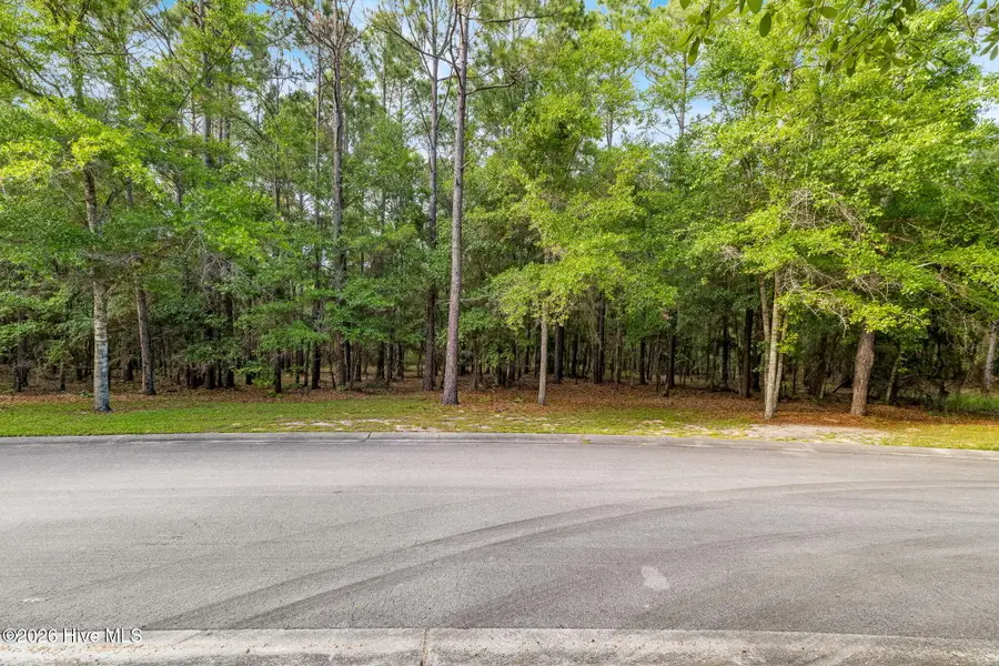 2912 Cartagena Passage Se, Bolivia, NC 28422 - #2