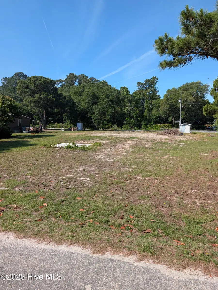 251 Roberts Road, Hampstead, NC 28443 - #2