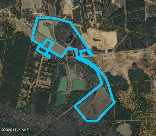 101 Acres Old Highway 90, Conway, SC 29526