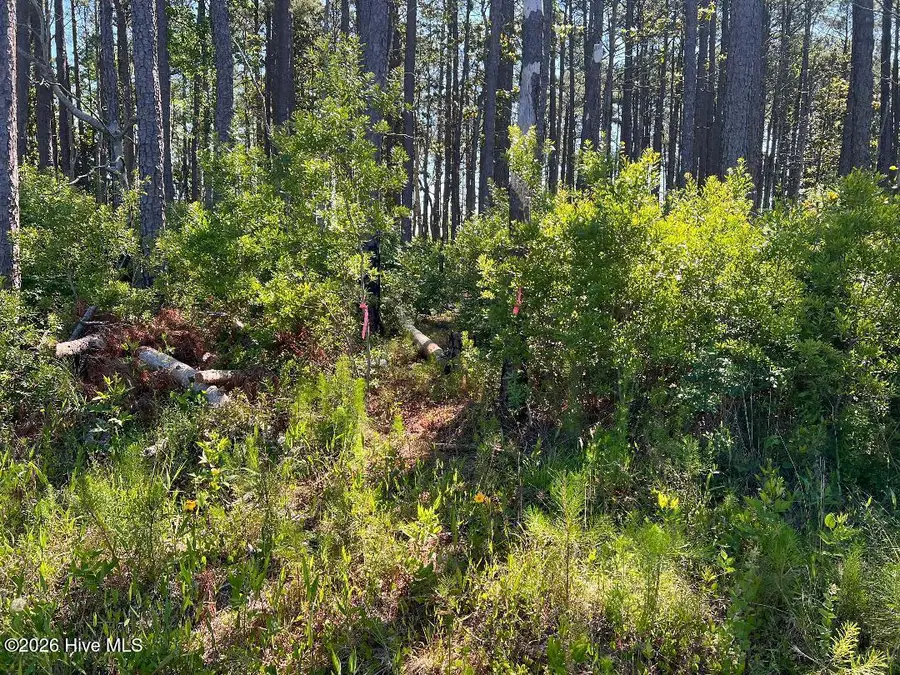 556 Highway 70 Smyrna, Smyrna, NC 28579 - #3