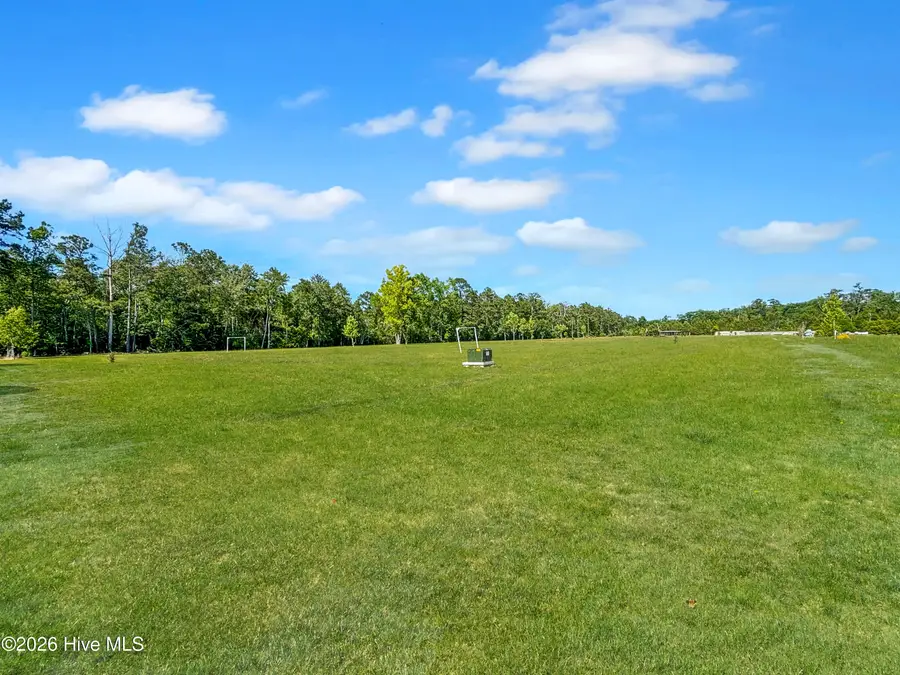 75 Dora Rosas Lane, Tabor City, NC 28463 - #3