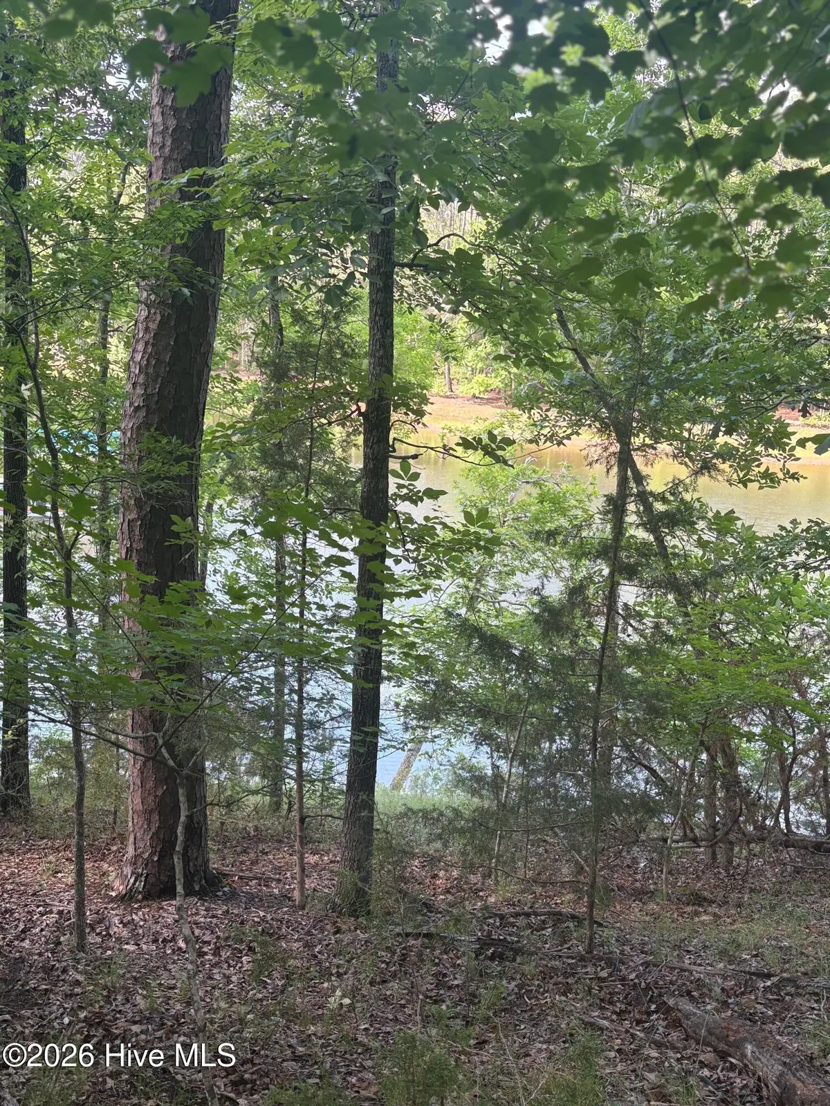 L5 Bl65 Overlook Point, McCormick, SC 29835 - #1