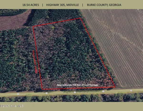 18.5 Acres Georgia 305 Highway, Midville, GA 30441
