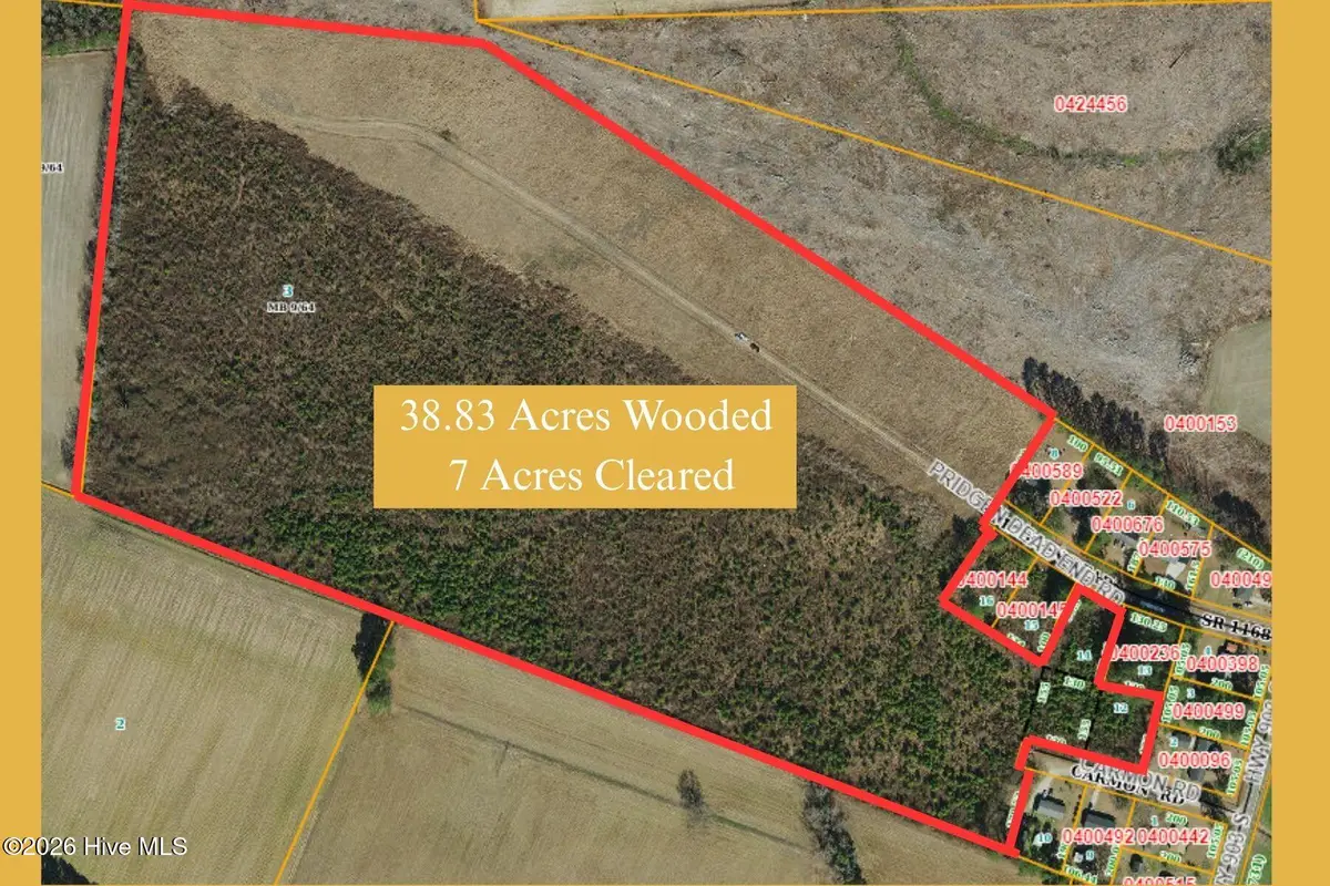 Tbd Pridgen Dead End Road, La Grange, NC 28551 - #1